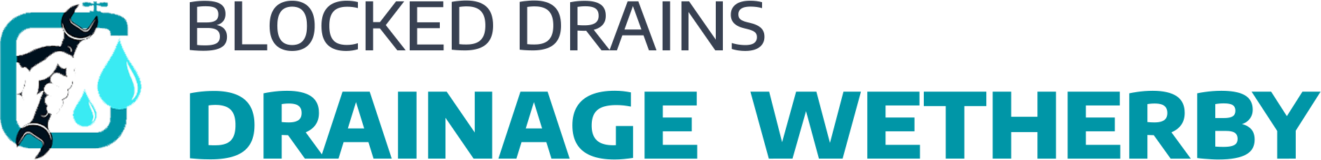 website logo